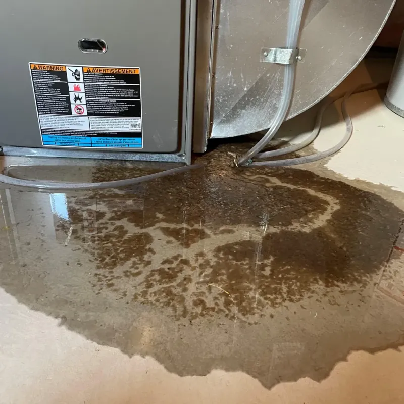 Appliance Leak Cleanup in Maxton, NC